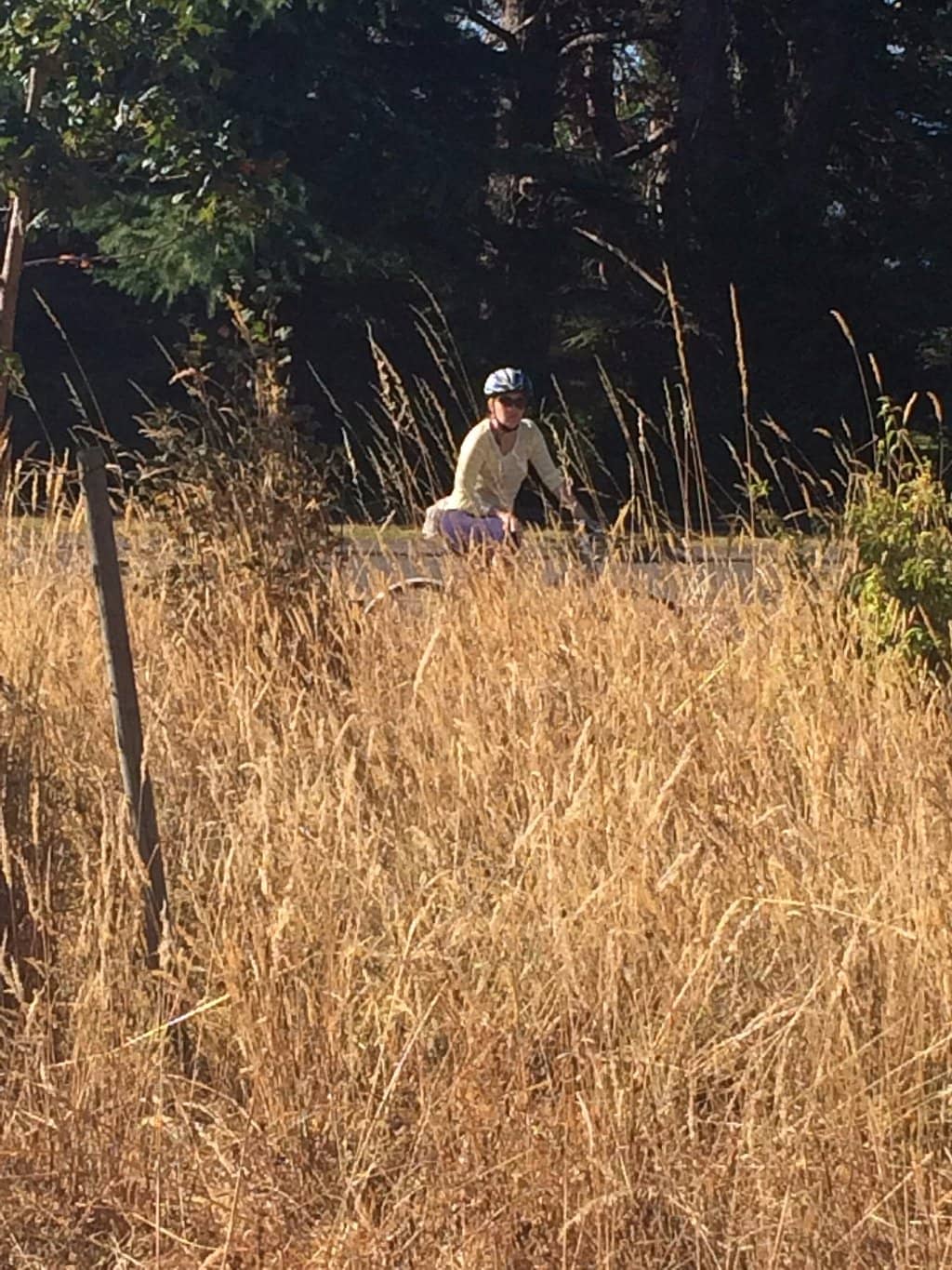 Dylan Thomas Connections