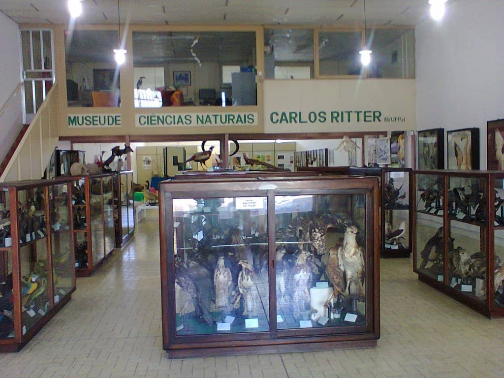 Biodiversity of the Pampa