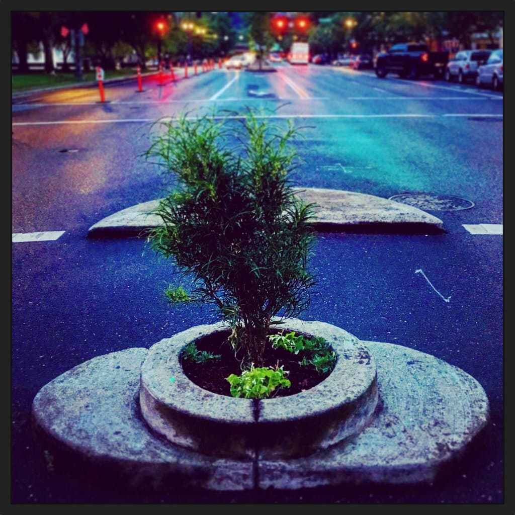 Mill Ends Park Portland