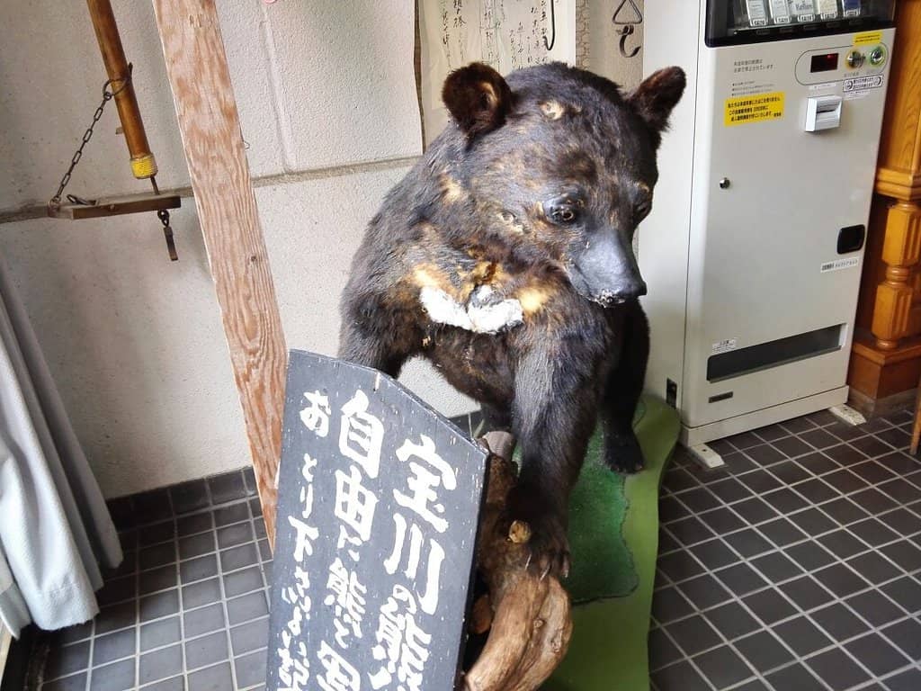 Traditional Ryokan Experience