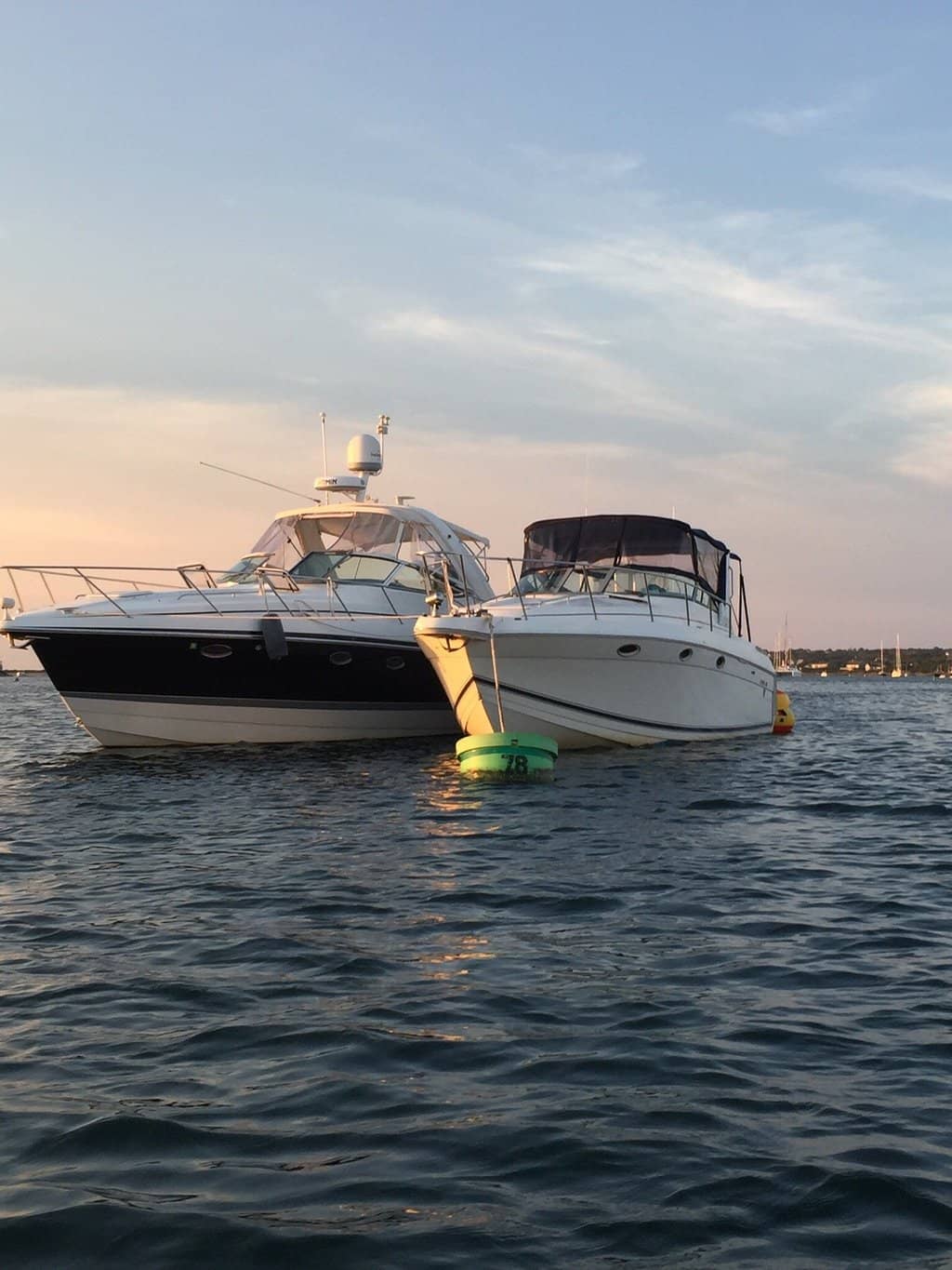 Birdwatching Paradise