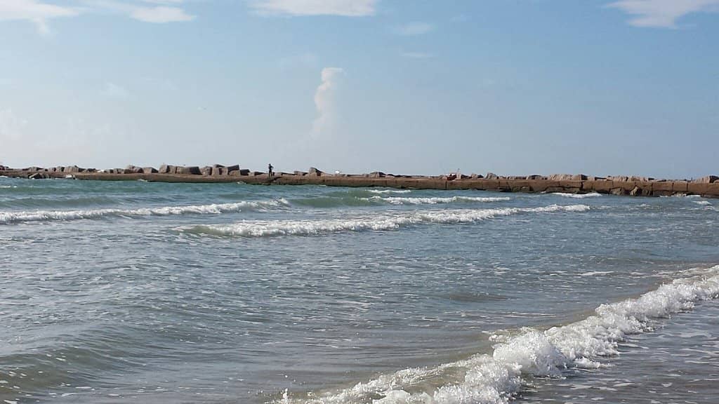Port Aransas Marine Science Institute (Patton Center)