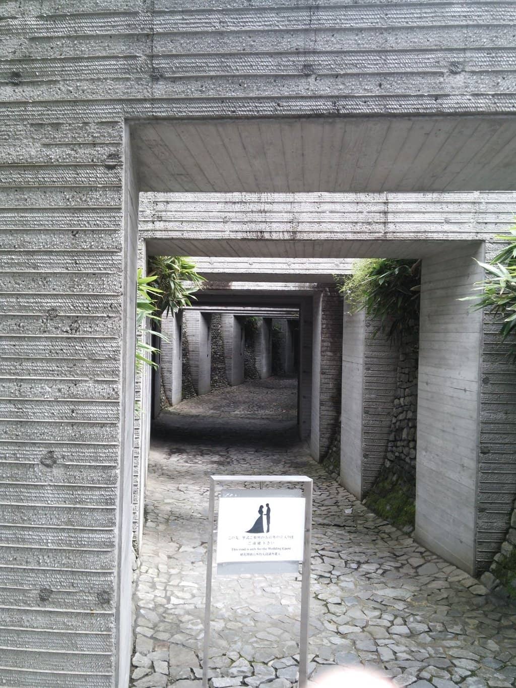 Senju's Evocative Art