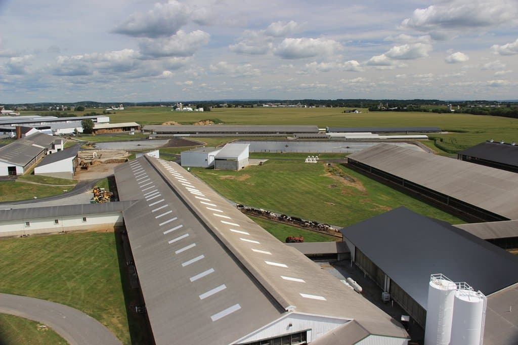 view from the top of the tower.