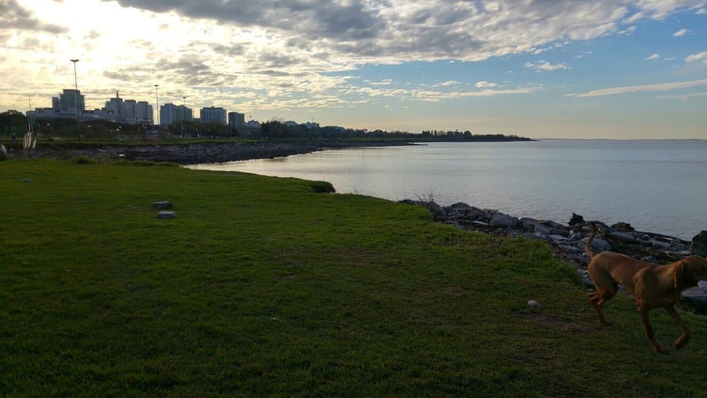 Paseo de la Costa Vicente López