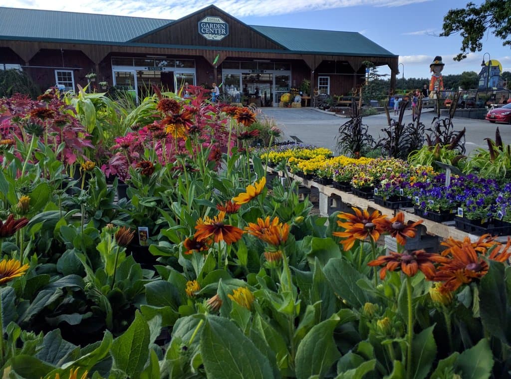 Don't eat the flowers at Linvilla Orchards.