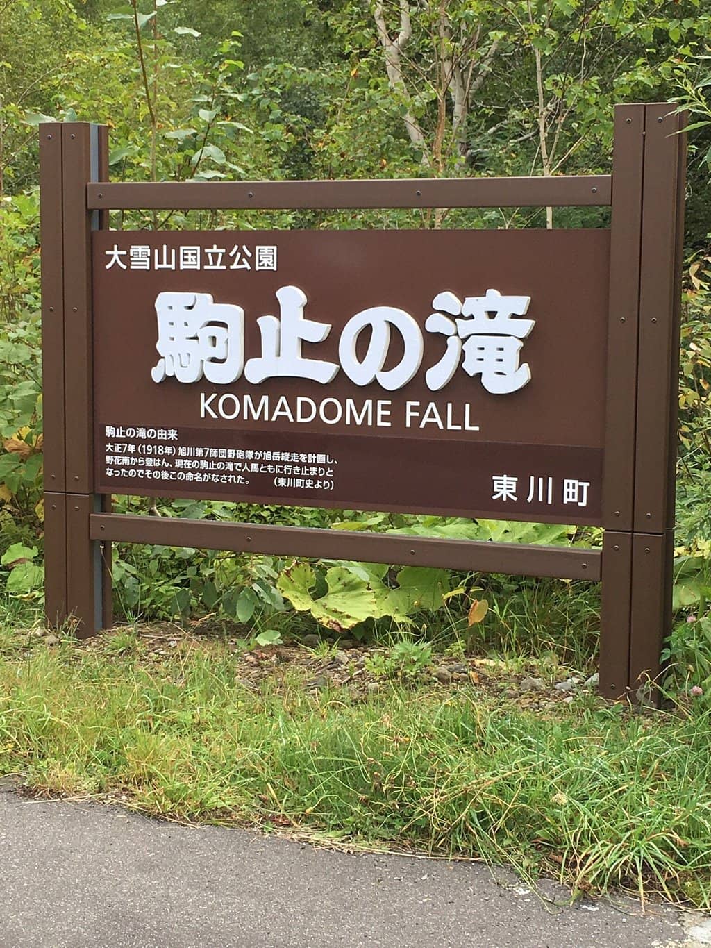 Vertical photo