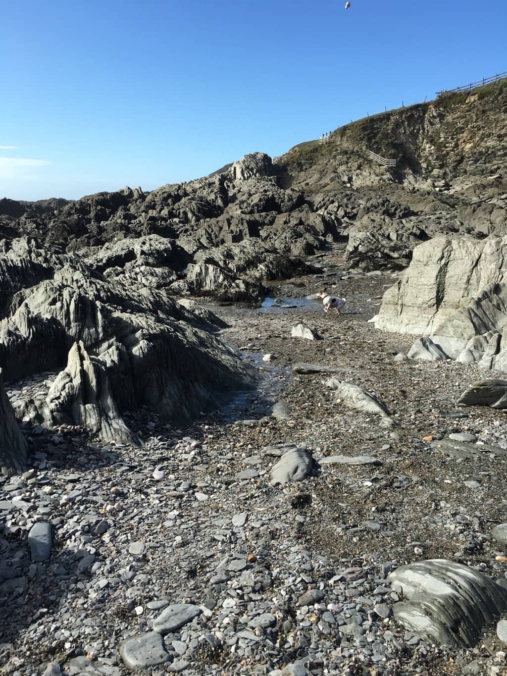Scenic Coastal Path Views