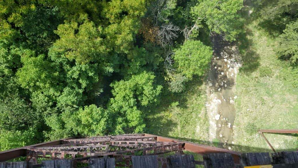 Vertical photo
