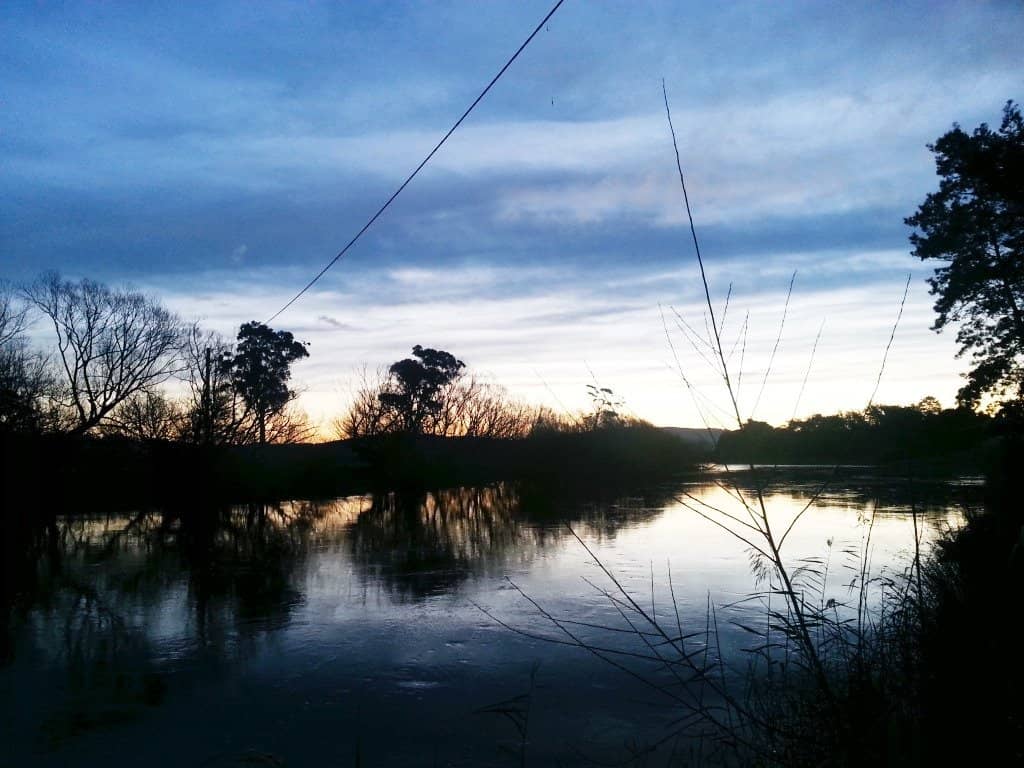 Duck Pond