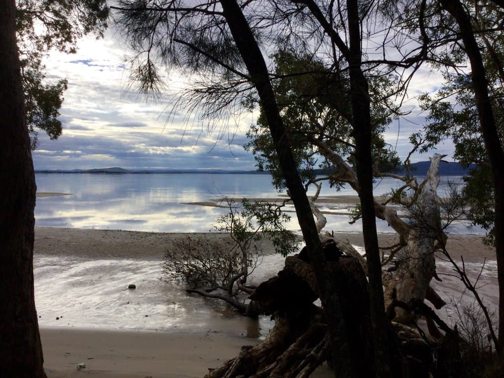 Tilligerry Habitat