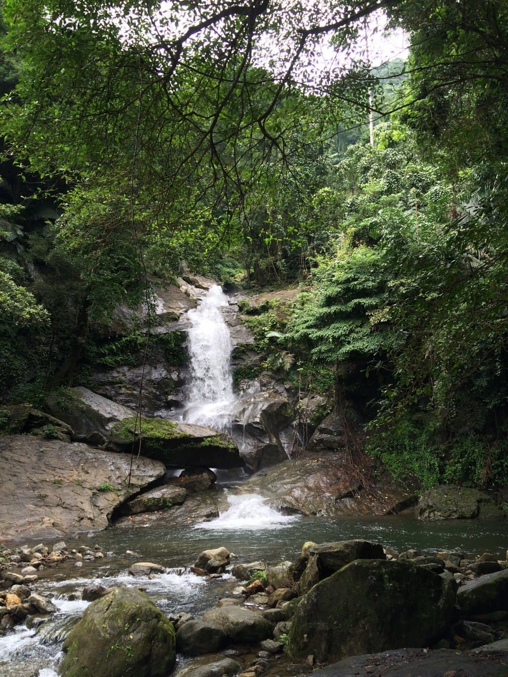 Meenvallam Waterfalls