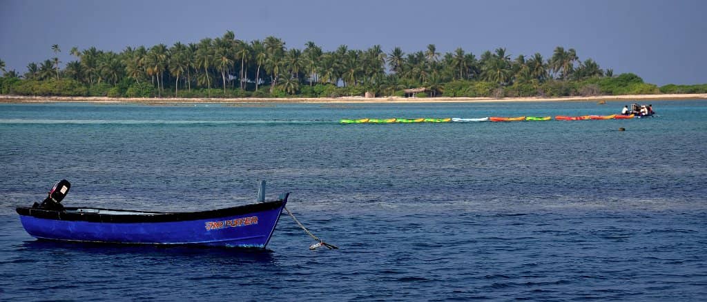 Coral Reefs and Marine Life