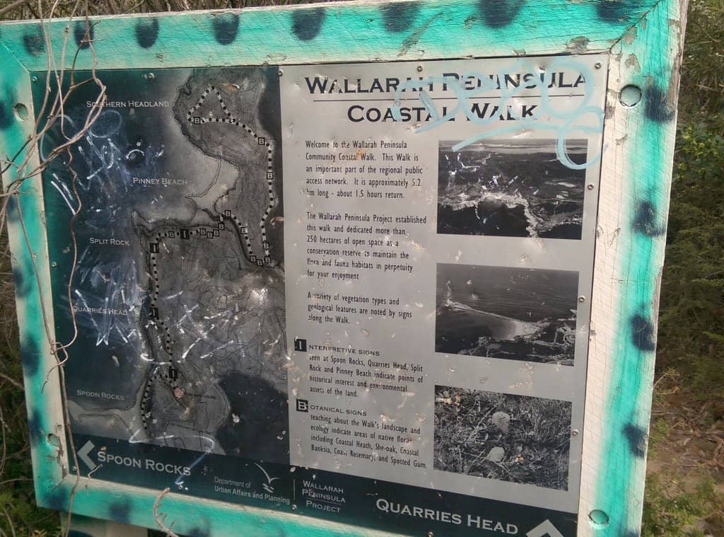 Native Wildlife Spotting