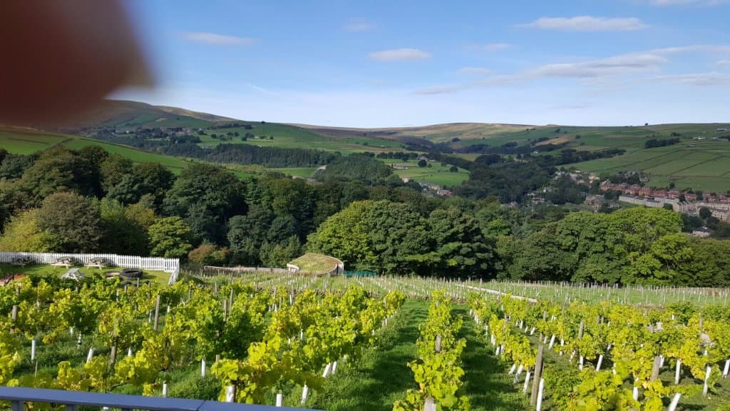 Holmfirth Vineyard