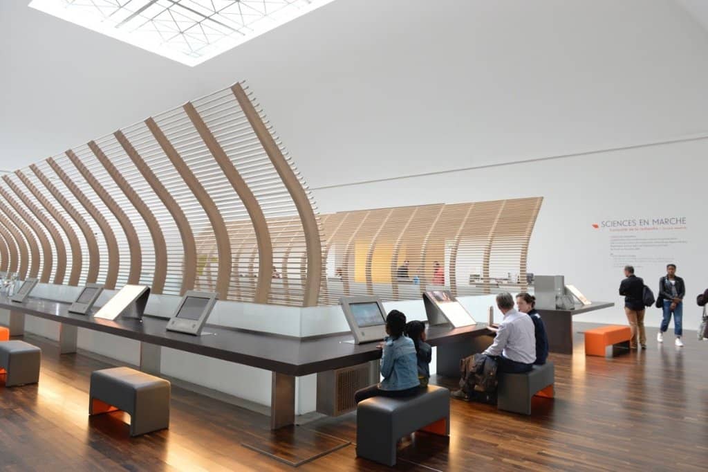 Human Evolution Galleries