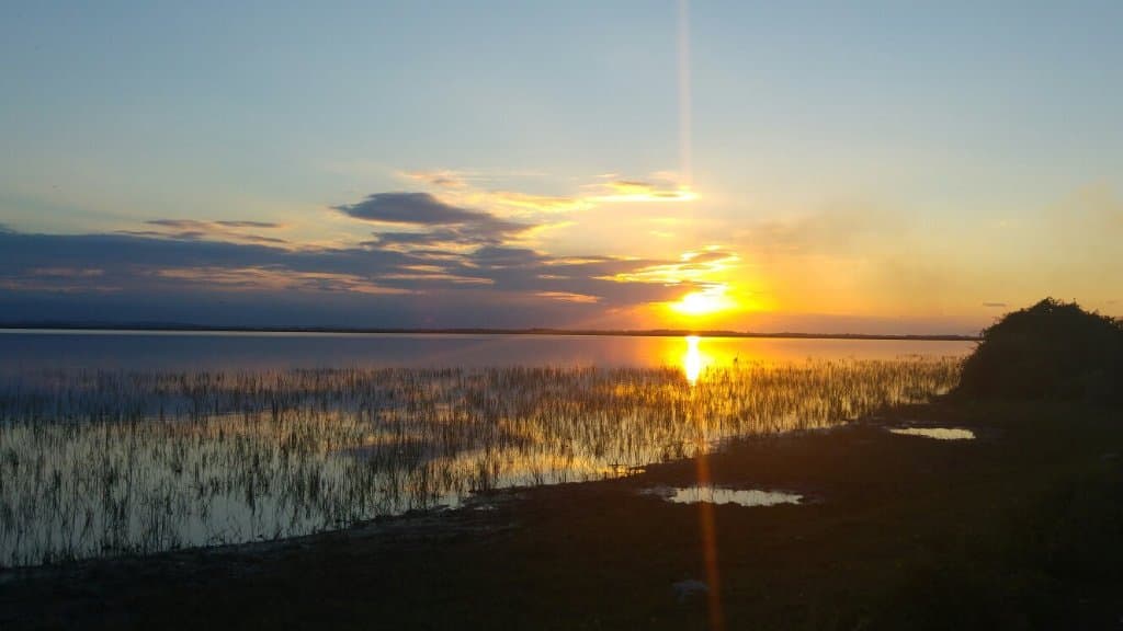 Kızılırmak Delta Bird Sanctuary