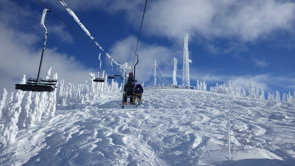 Bluebird powder.