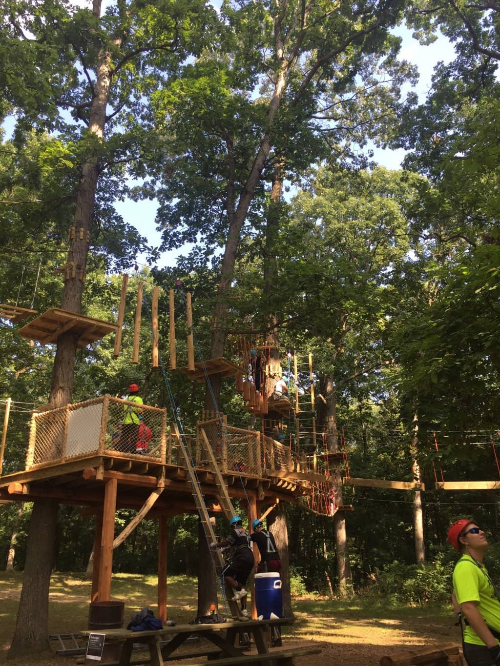 Nature Center Discovery