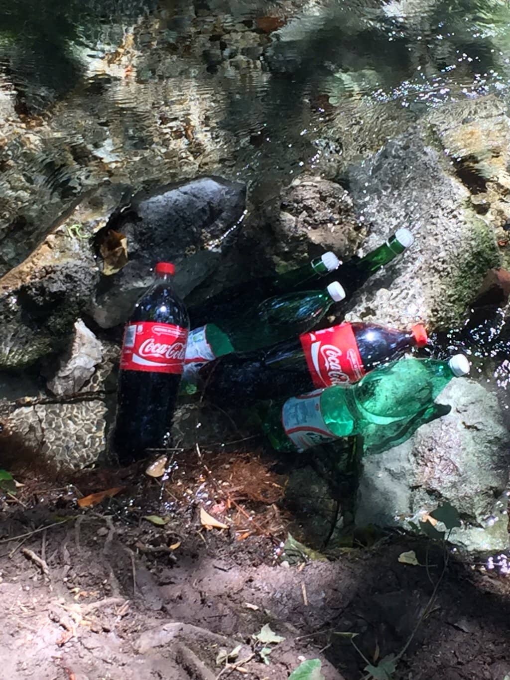 Natural Springs & Cold Creeks