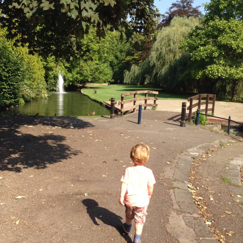 Aviary & Wildlife Feeding