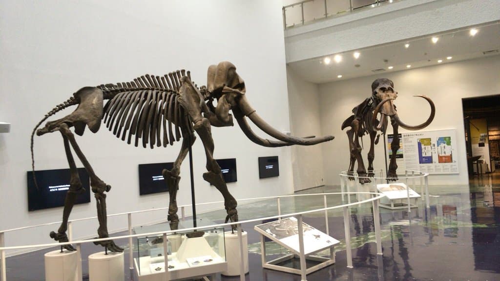 Hokkaido Museum Sapporo