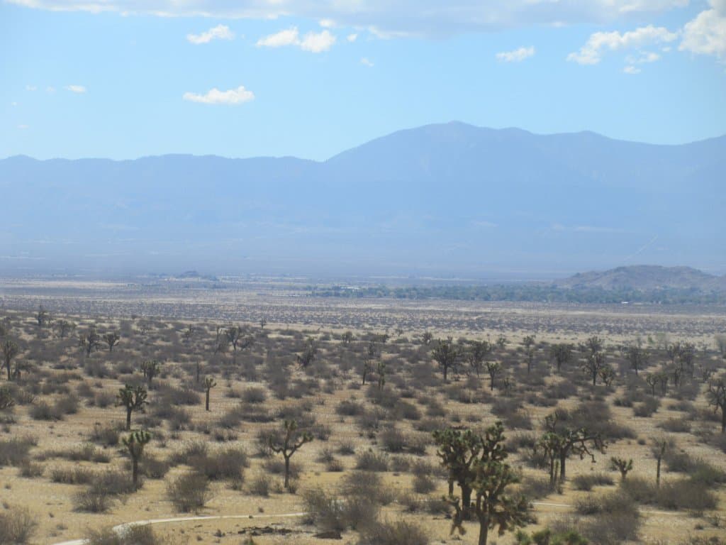 Vista Views from Saddleback Butte State Park, Lancaster, CA