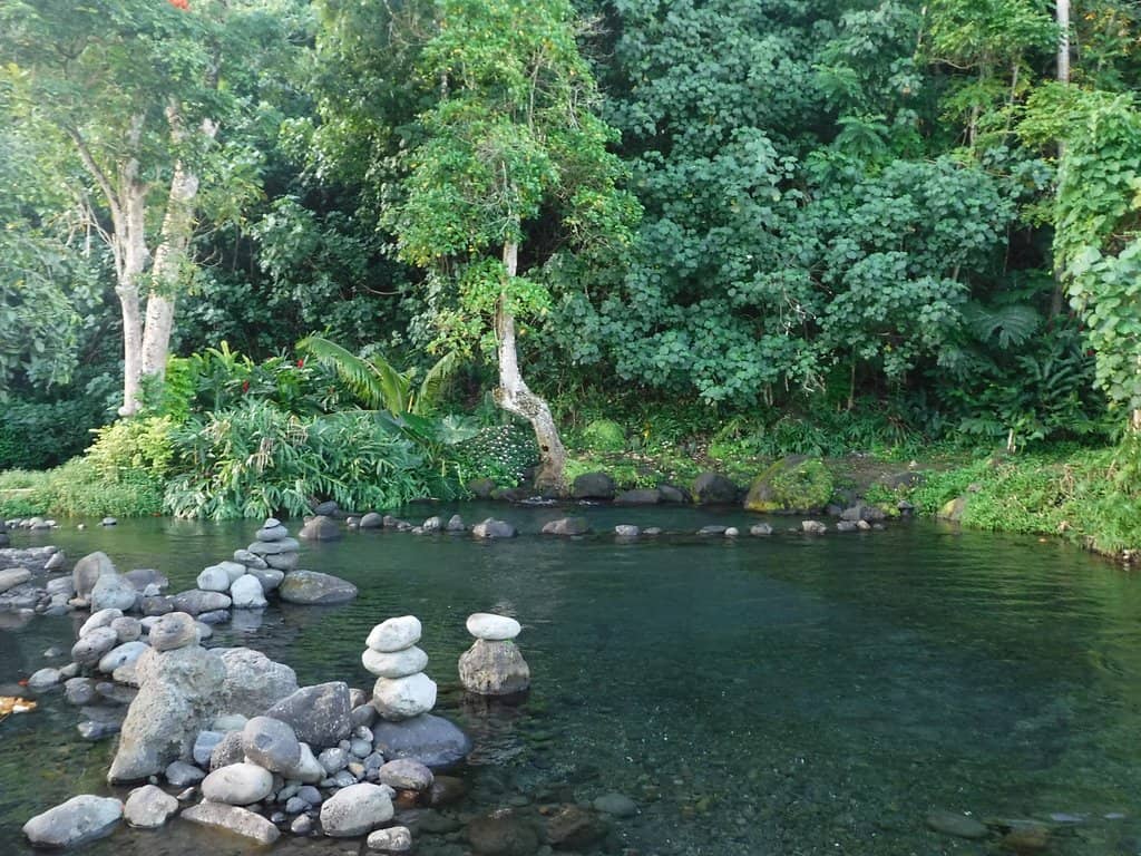 The Ethereal Spring Waters