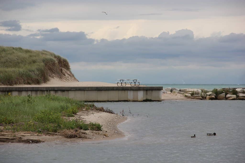 Dune Overlook & Boardwalk