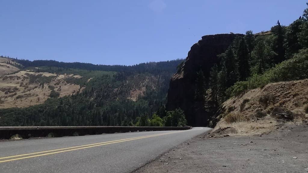 Balsamroot Wildflowers
