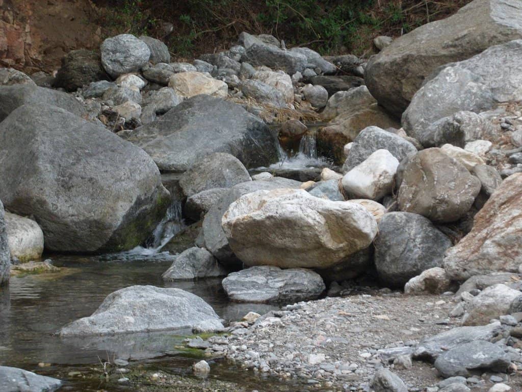 Picnic & Mates Spot