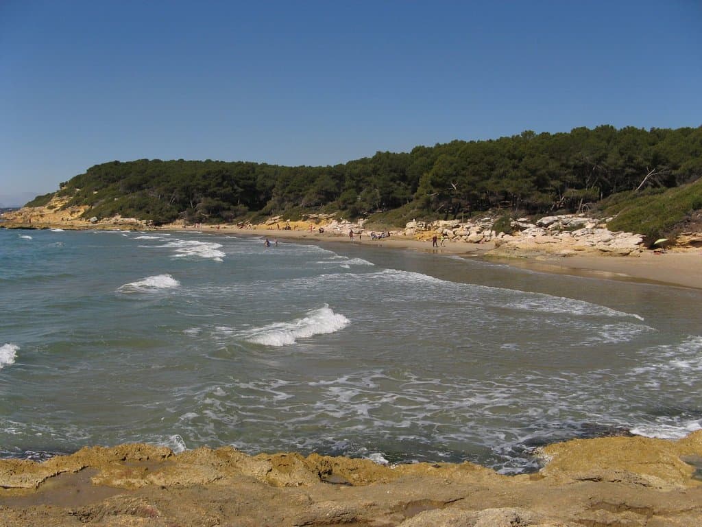 Mare mosso