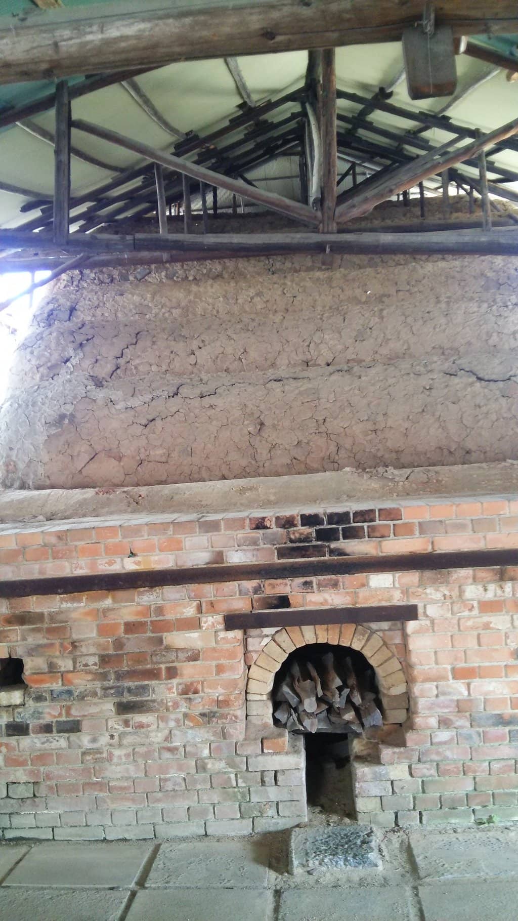 Tanuki Statues Galore