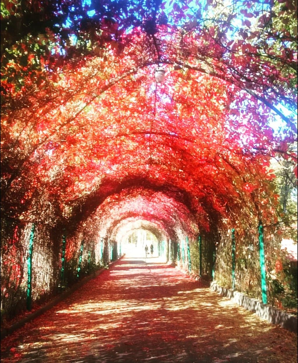 Botanical Garden of Yerevan