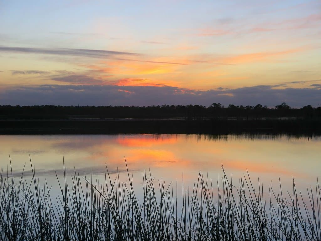 sunset over wetlands