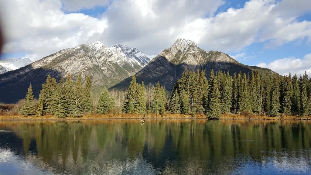 View of the mountains and the Bow River