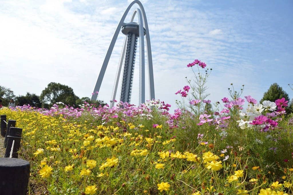 Observation Tower Views