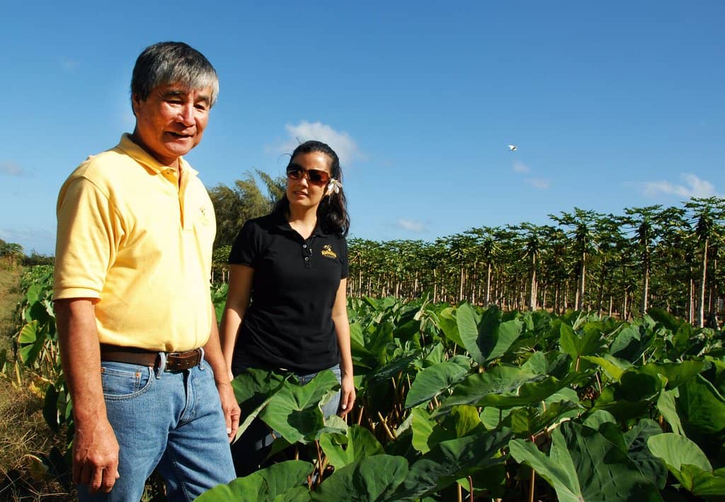 Grilled Banana Bread