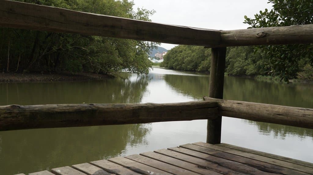 passarela no coração do mangue