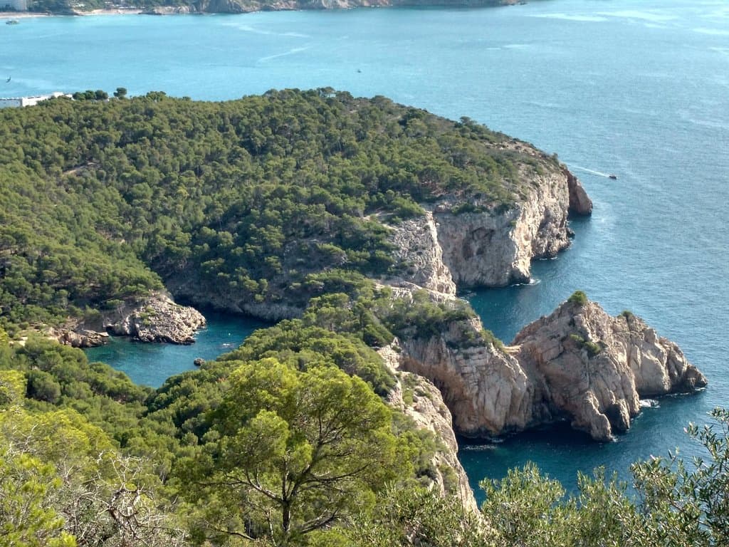Vista del Caló des Monjo