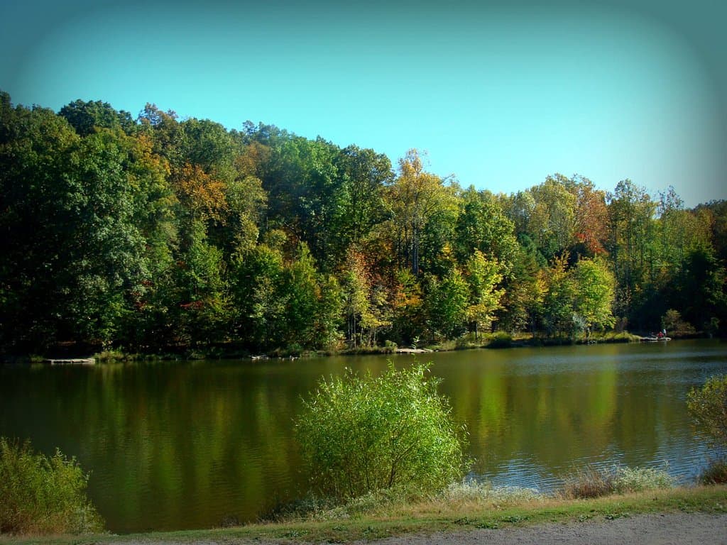 Walking around the Lake is about one mile. Not a physically challenging walk.
