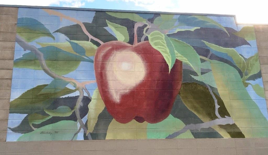 Nature's Window Dioramas