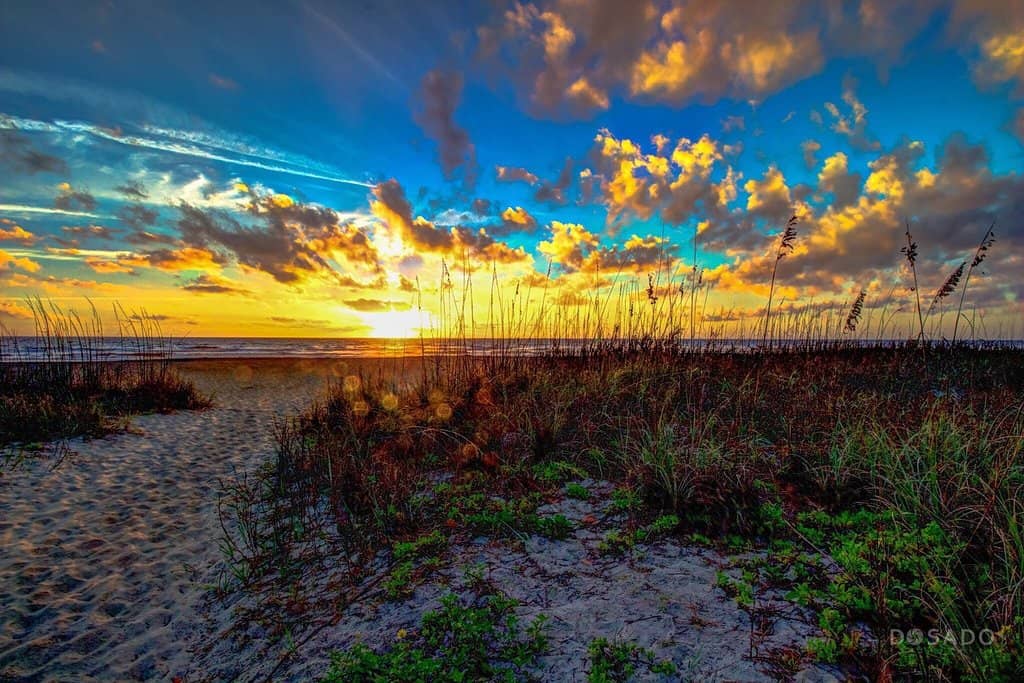 Tranquil Beach Access