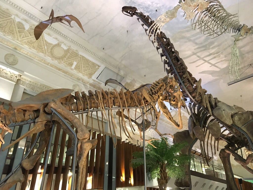 國立台灣博物館土銀展示館