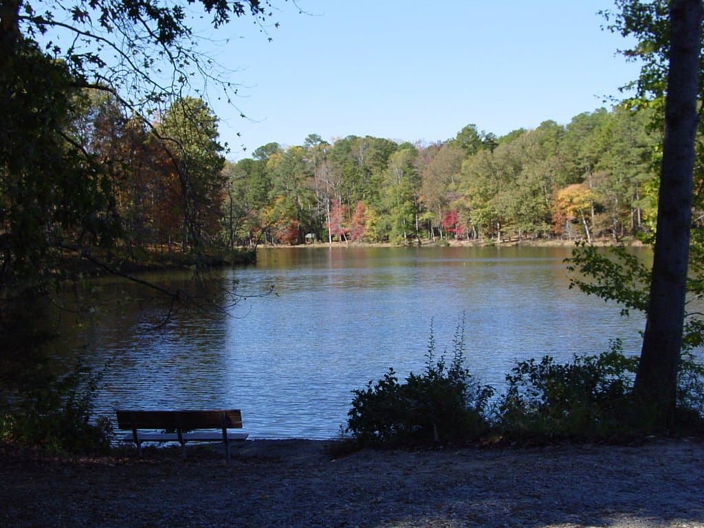 Beginning of the lake area that is easily accessible to handicapped in a mobile cart.