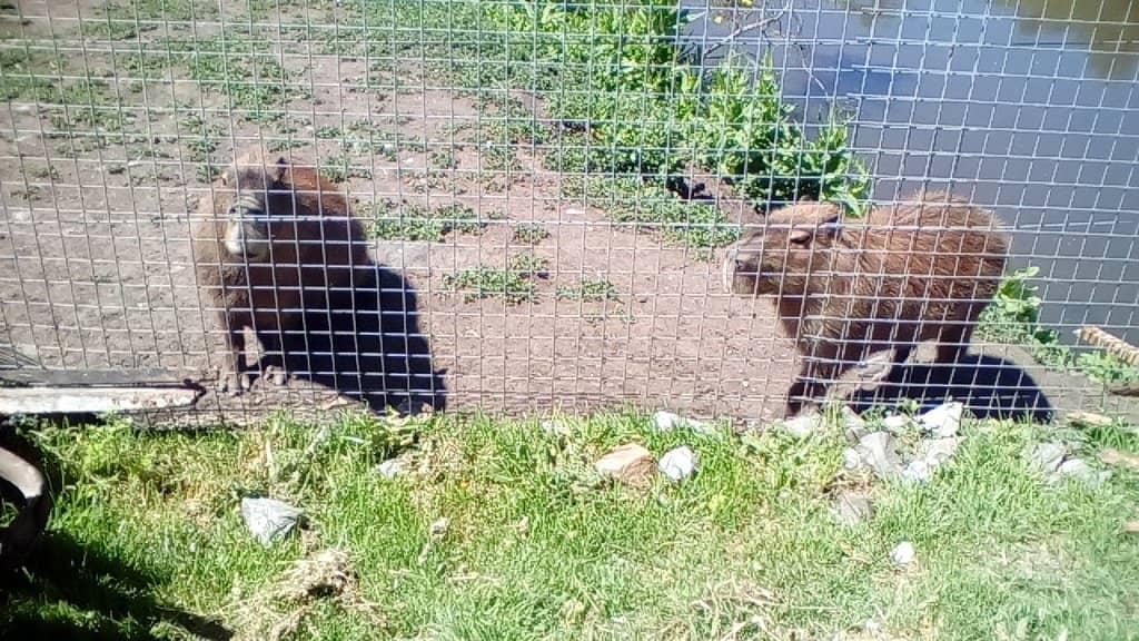 Historical Quarry Sites