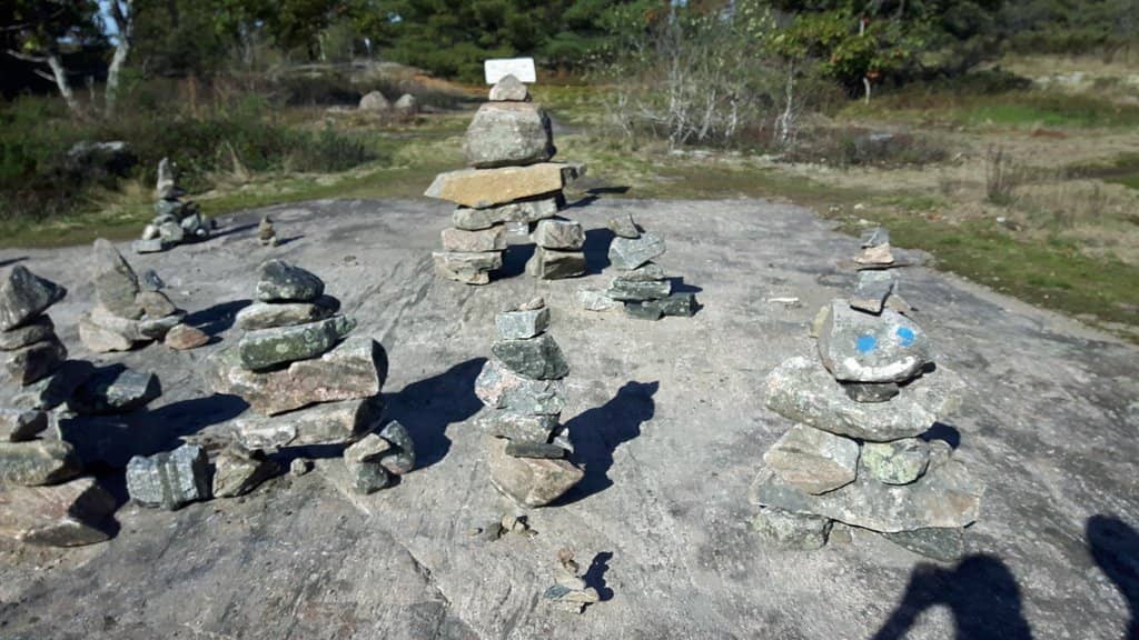 Northern Lights Spectacle