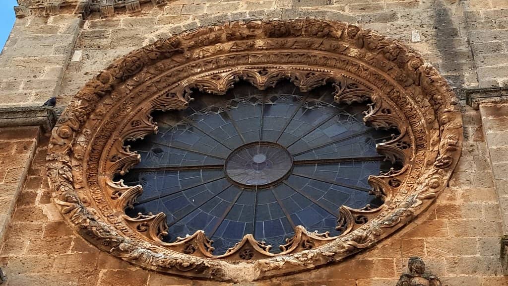 Vertical photo