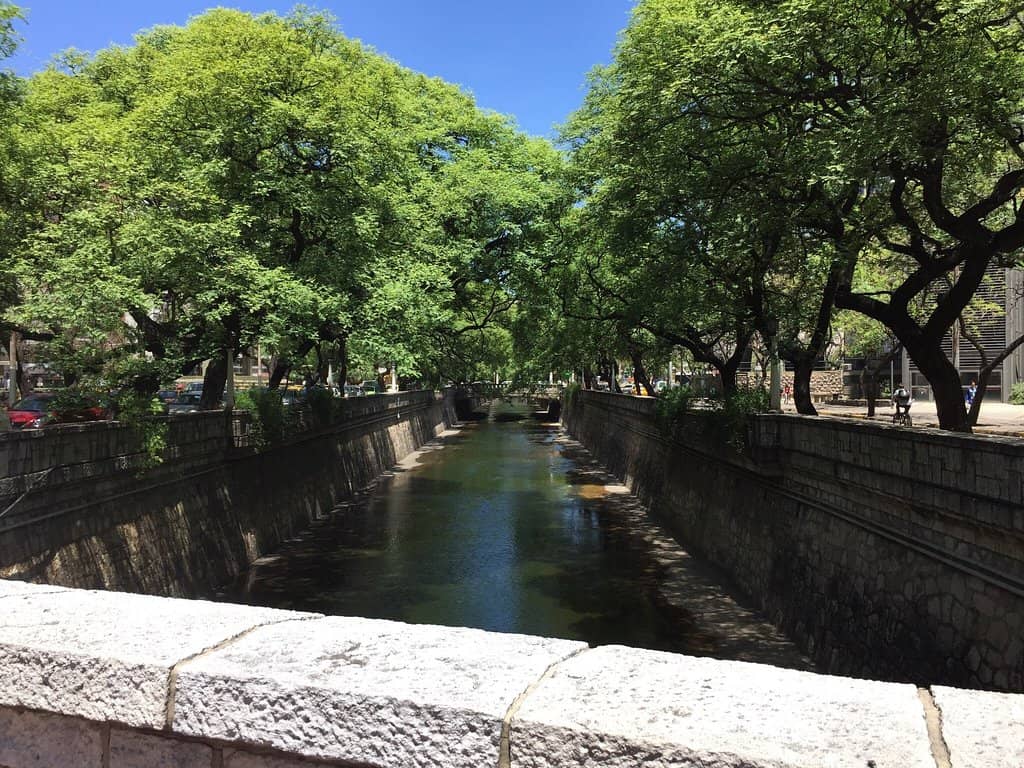 Street Art & Performances