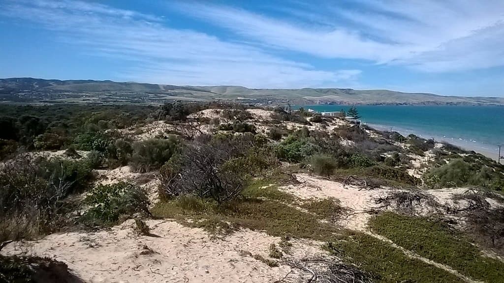 The view from the viewing boardwalk off the esplanade.